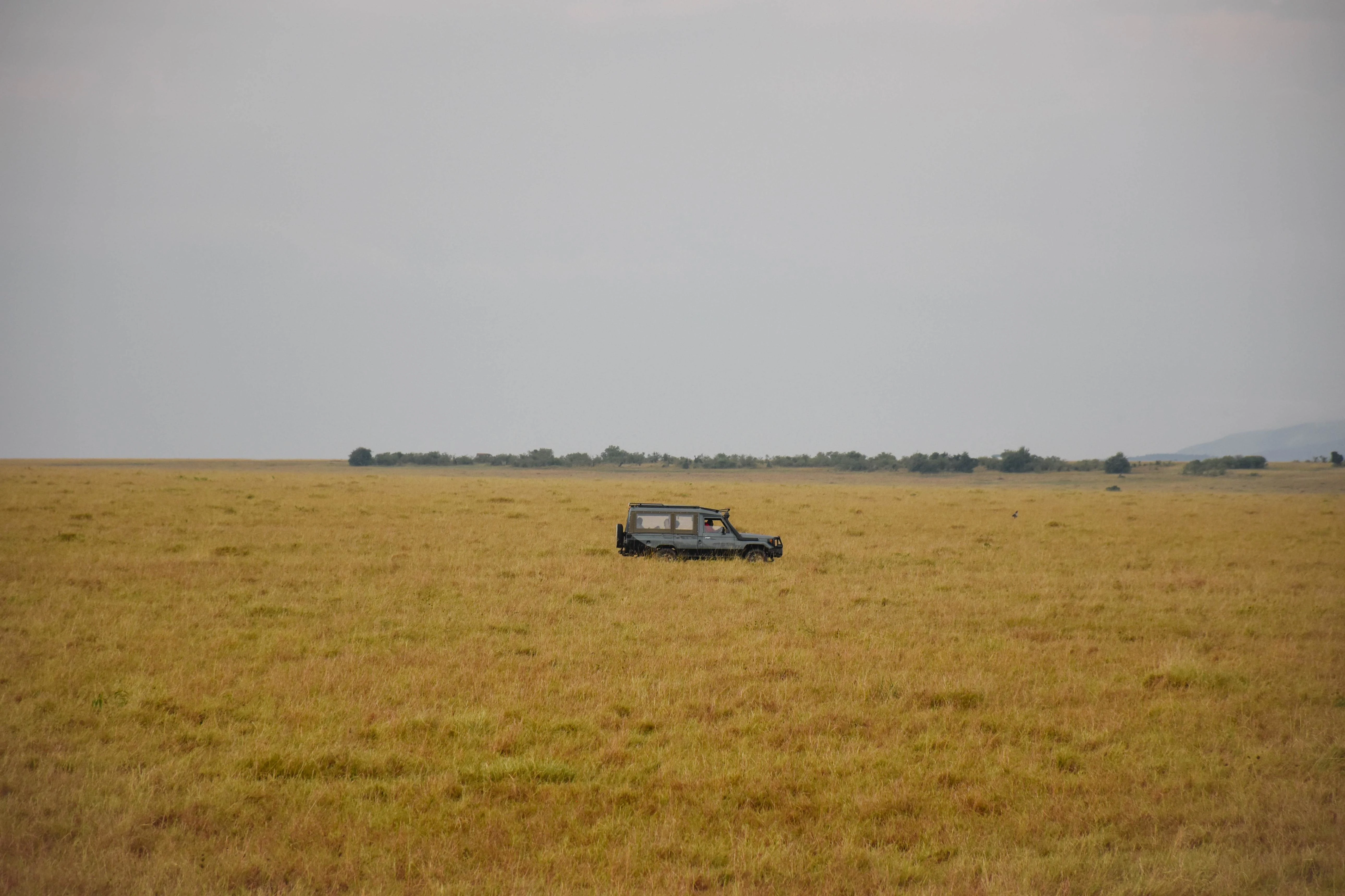 Amboseli game drive